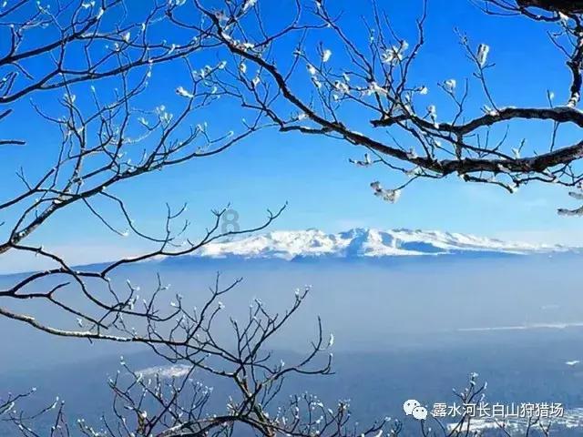 萄的形近字是什么游戏画面